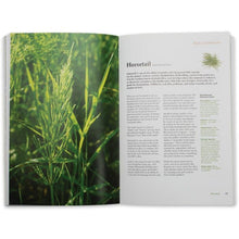 Load image into Gallery viewer, Backyard Medicine Handbook