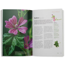 Load image into Gallery viewer, Backyard Medicine Handbook