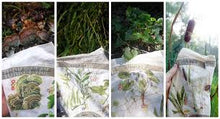 Load image into Gallery viewer, Bandana | Foraging Field Reference
