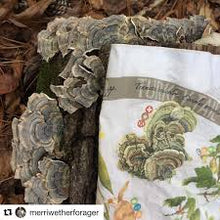 Load image into Gallery viewer, Bandana | Foraging Field Reference