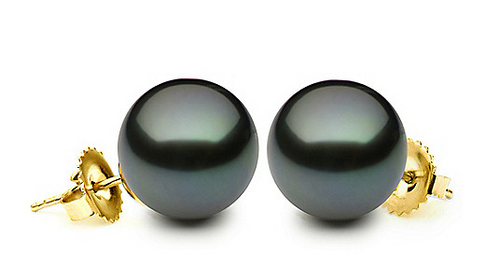 12-13mm Black Tahitian Pearl Stud Earrings - from Holsten Jewelers