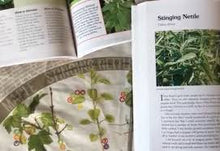 Load image into Gallery viewer, Bandana | Foraging Field Reference
